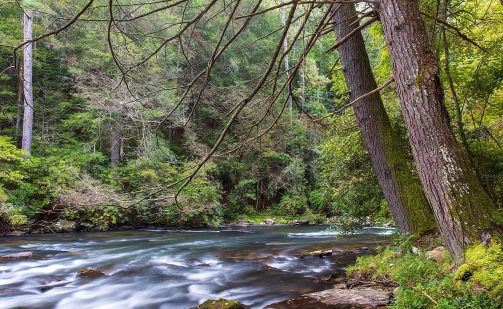 279 Shallow Water Trail, Talking Rock GA 30175 - Photo
