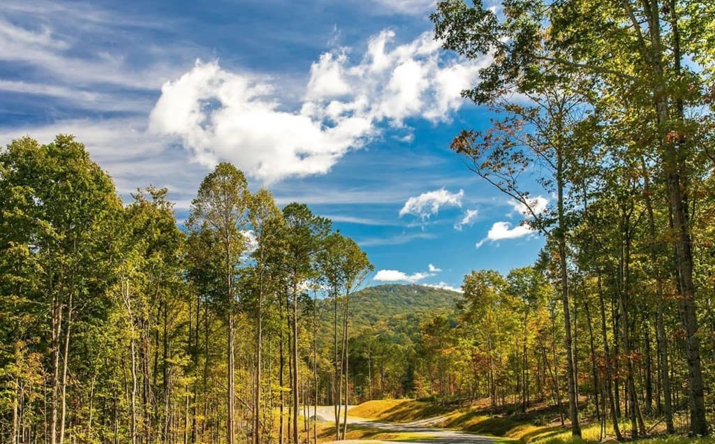 279 Shallow Water Trail, Talking Rock GA 30175 - Photo