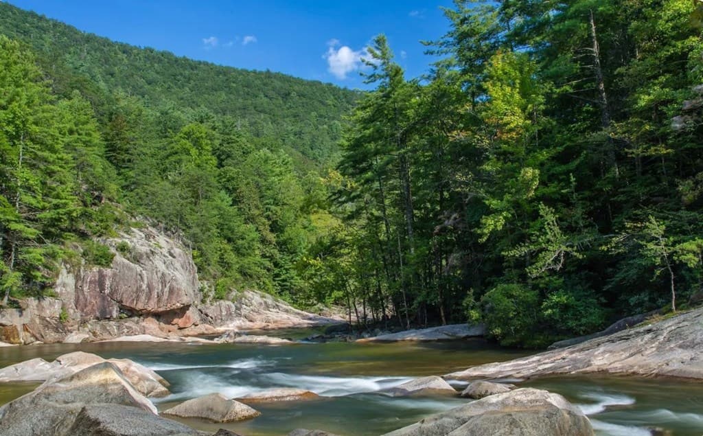 279 Shallow Water Trail, Talking Rock GA 30175 - Photo