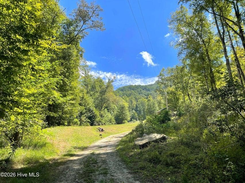 575 Vestal Cochran Road, Topton NC 28781 - Photo