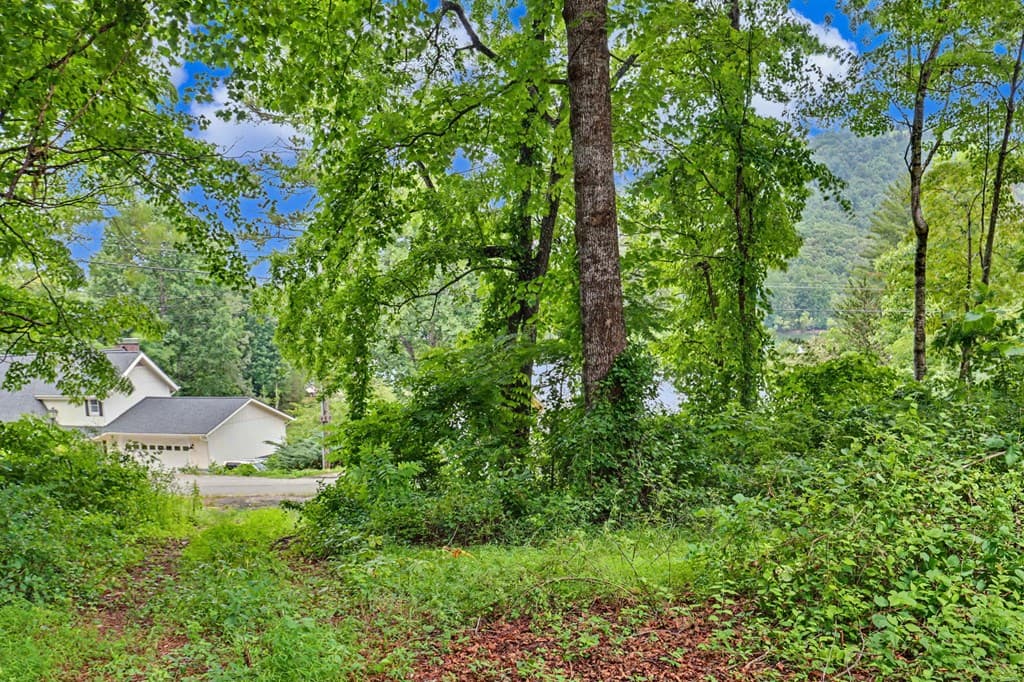 488 Dogwood Place, Hiawassee GA 30546 - Photo