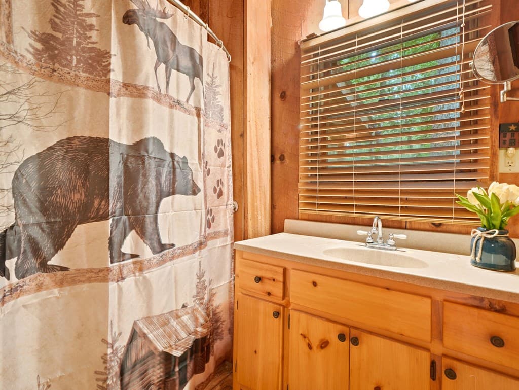 167 Mangums Trl, Blue Ridge GA 30513 - Photo