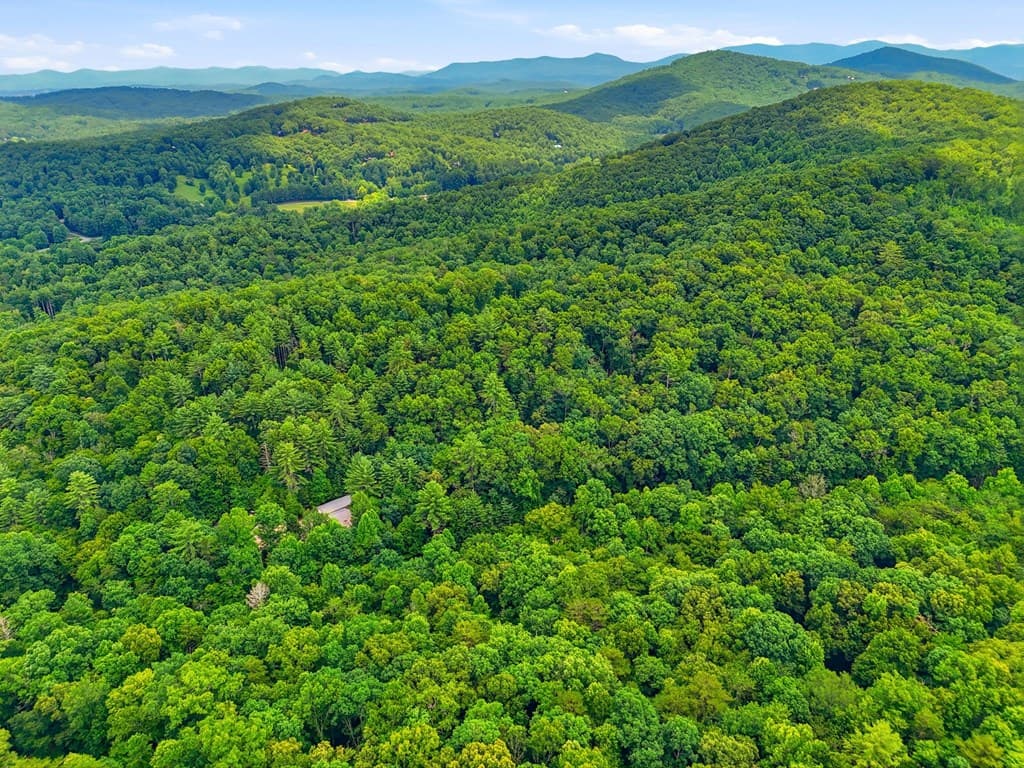 167 Mangums Trl, Blue Ridge GA 30513 - Photo
