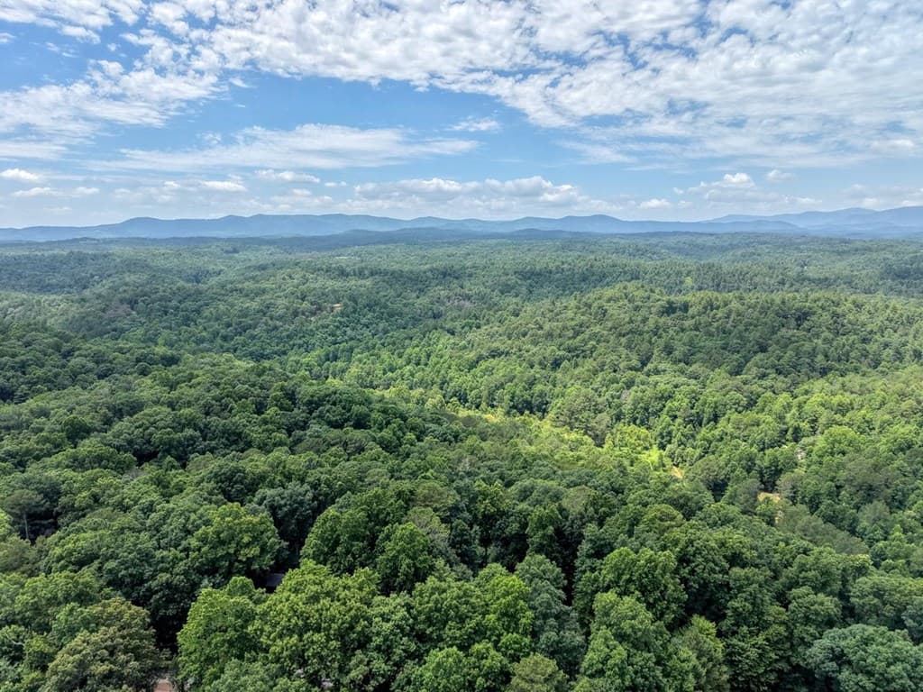 119 Bear Court, Ellijay GA 30540 - Photo