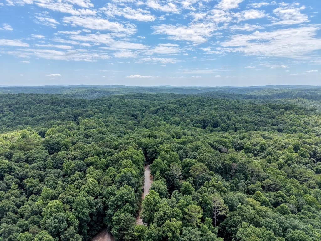119 Bear Court, Ellijay GA 30540 - Photo