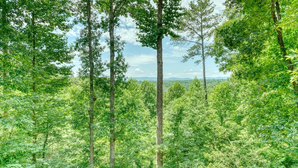 119 Bear Court, Ellijay GA 30540 - Photo