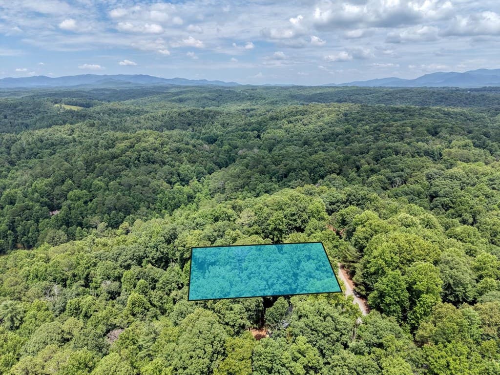 119 Bear Court, Ellijay GA 30540 - Photo