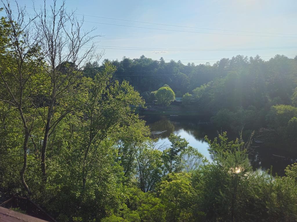 246 Adams Circle, Mineral Bluff GA 30559 - Photo