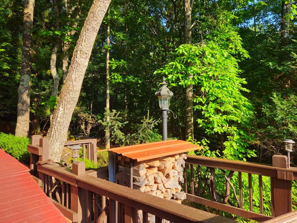 246 Adams Circle, Mineral Bluff GA 30559 - Photo