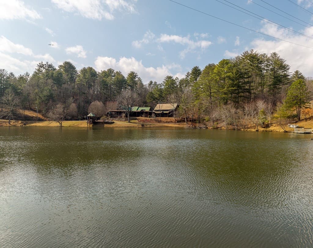 246 Adams Circle, Mineral Bluff GA 30559 - Photo
