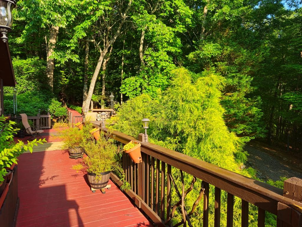 246 Adams Circle, Mineral Bluff GA 30559 - Photo