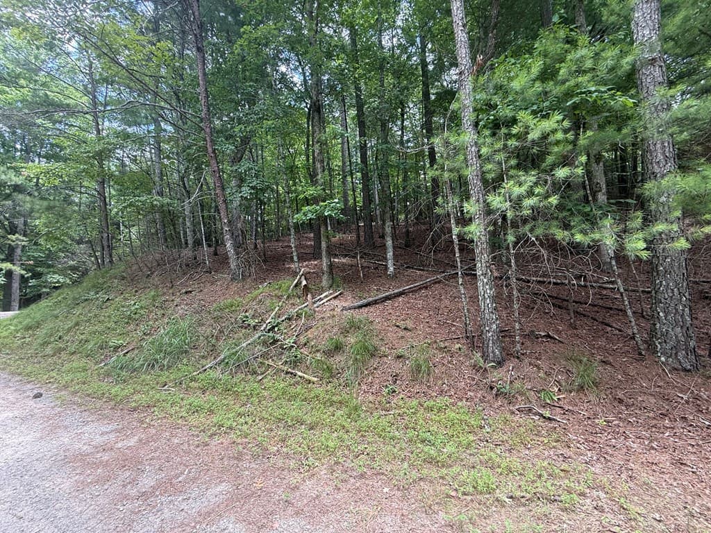 lot 1336 Lyric Lane, Ellijay GA 30540 - Photo
