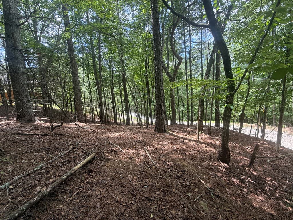 lot 1336 Lyric Lane, Ellijay GA 30540 - Photo
