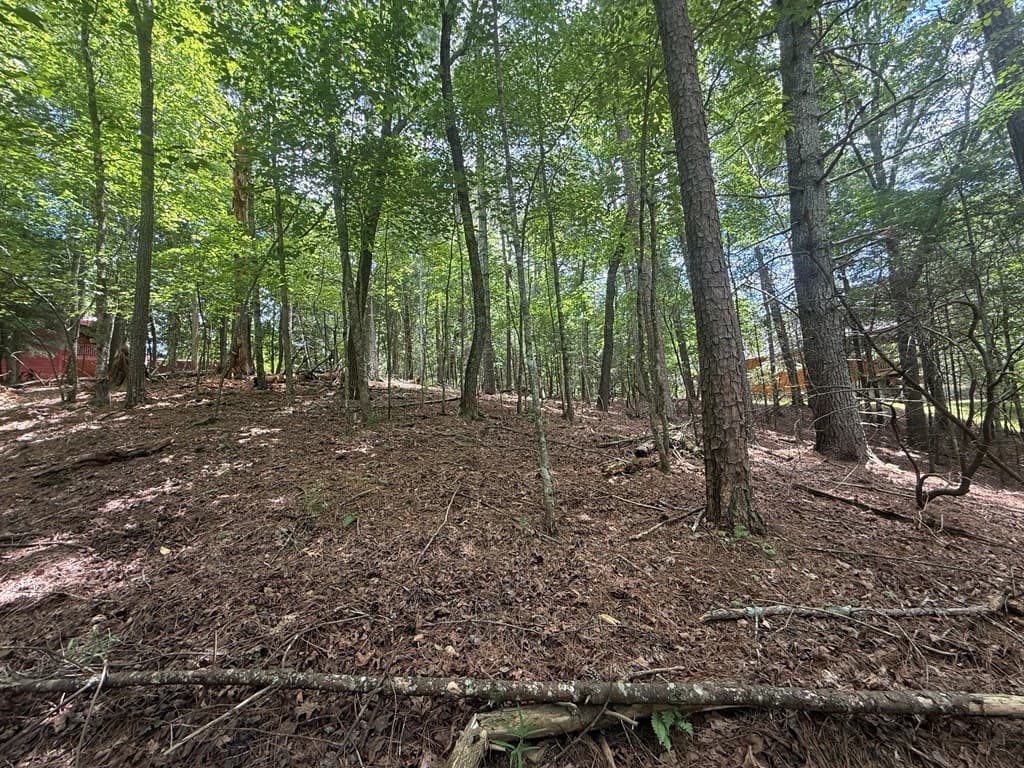 lot 1336 Lyric Lane, Ellijay GA 30540 - Photo