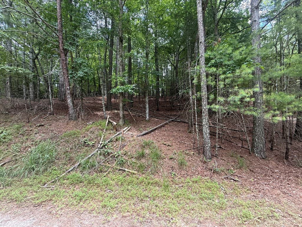 lot 1336 Lyric Lane, Ellijay GA 30540 - Photo
