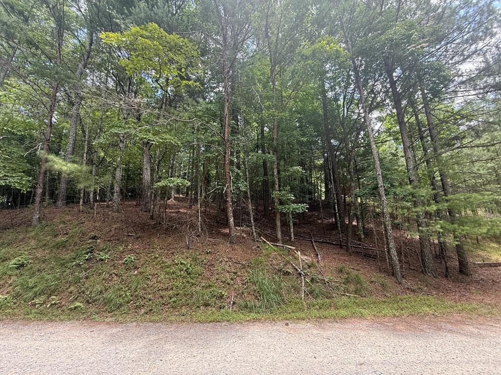 lot 1336 Lyric Lane, Ellijay GA 30540 - Primary photo