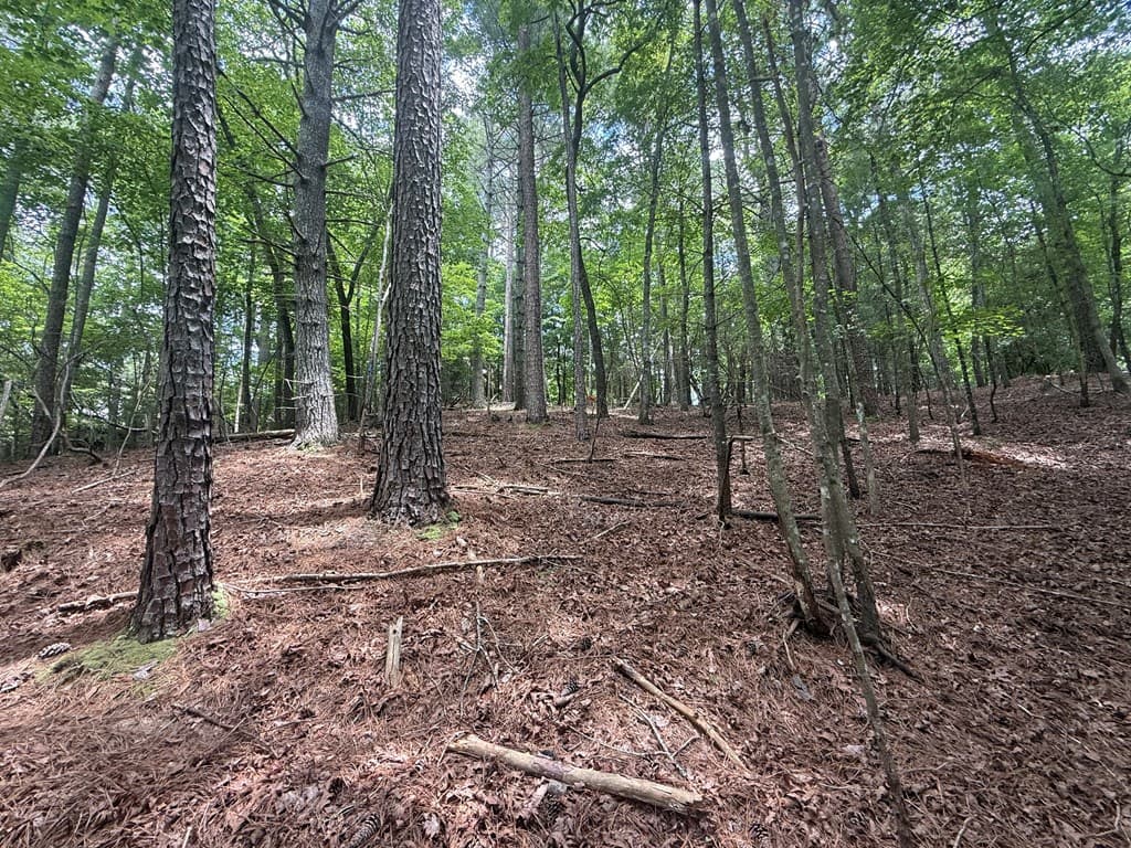 lot 1336 Lyric Lane, Ellijay GA 30540 - Photo