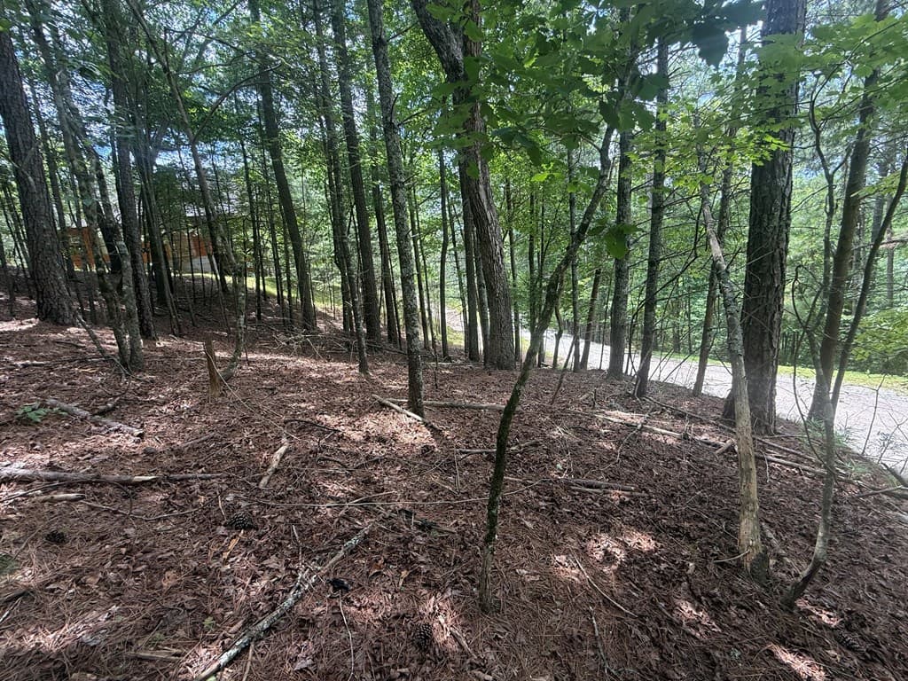 lot 1336 Lyric Lane, Ellijay GA 30540 - Photo