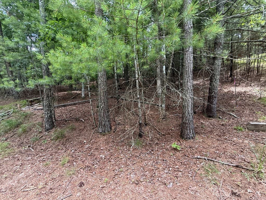 lot 1336 Lyric Lane, Ellijay GA 30540 - Photo