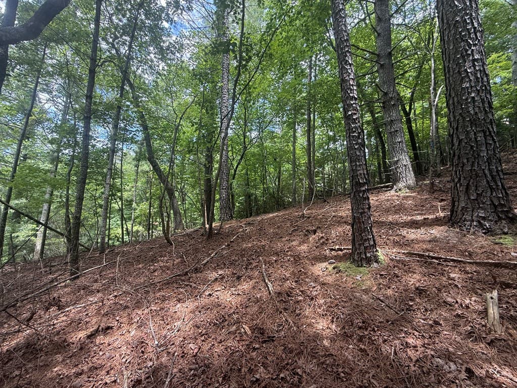 lot 1336 Lyric Lane, Ellijay GA 30540 - Photo