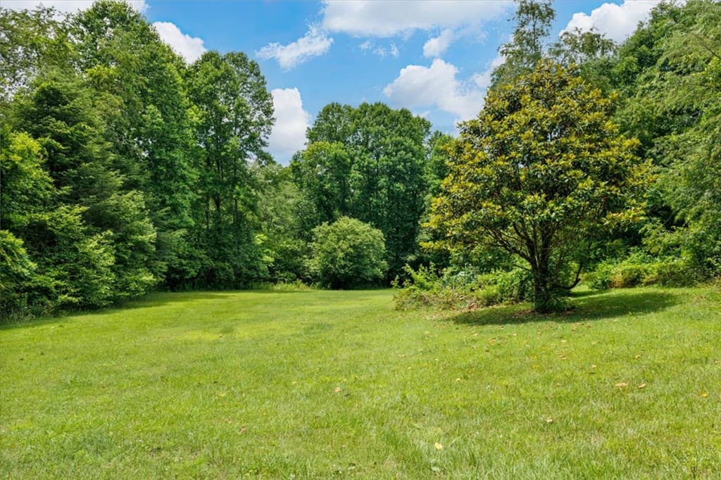 823 Forge Mill, Morganton GA 30560 - Photo