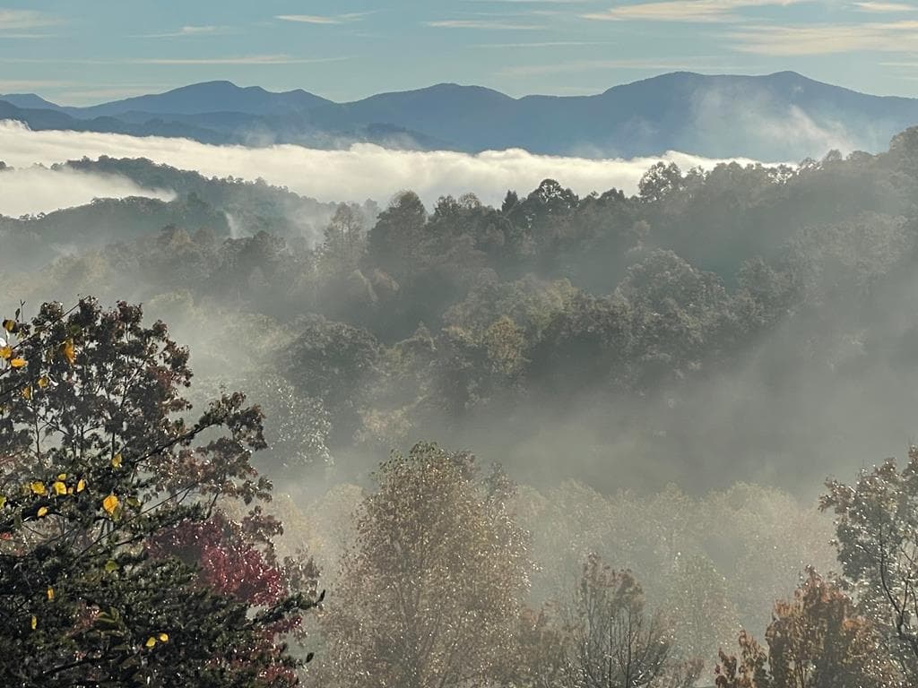 82 Jay Bird Way, Hayesville NC 28904 - Photo