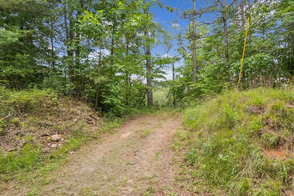 LOT 6 Riverfront Drive, Ellijay GA 30536 - Photo