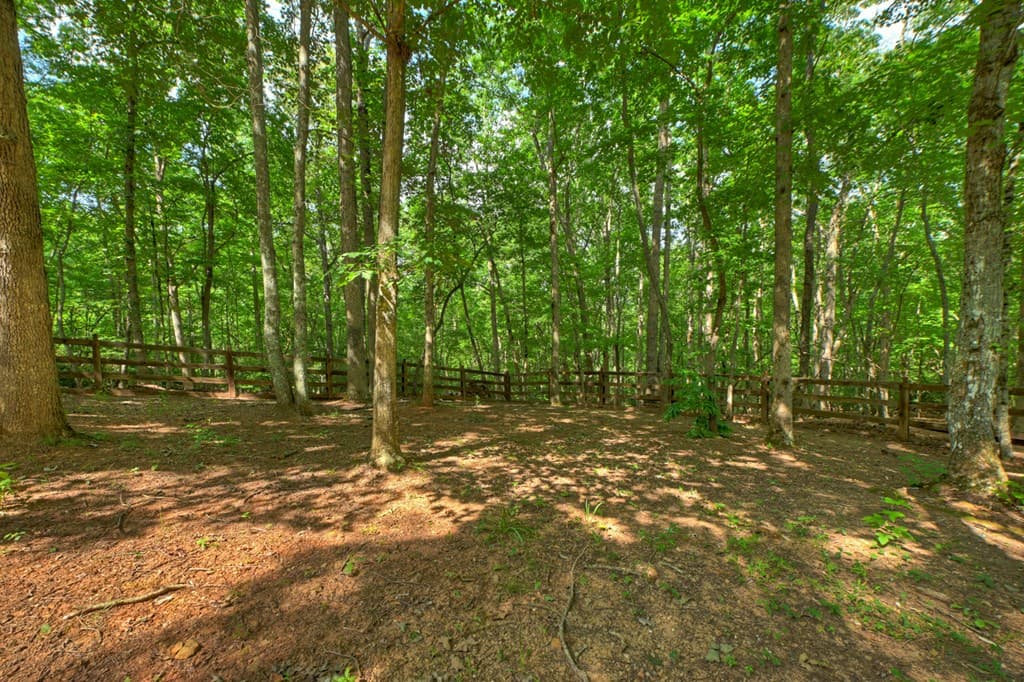 21 Trails End Lane, Morganton GA 30560 - Photo