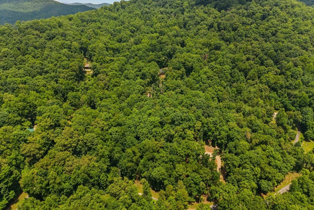 1008 Turkey Trot, Blairsville GA 30512 - Photo