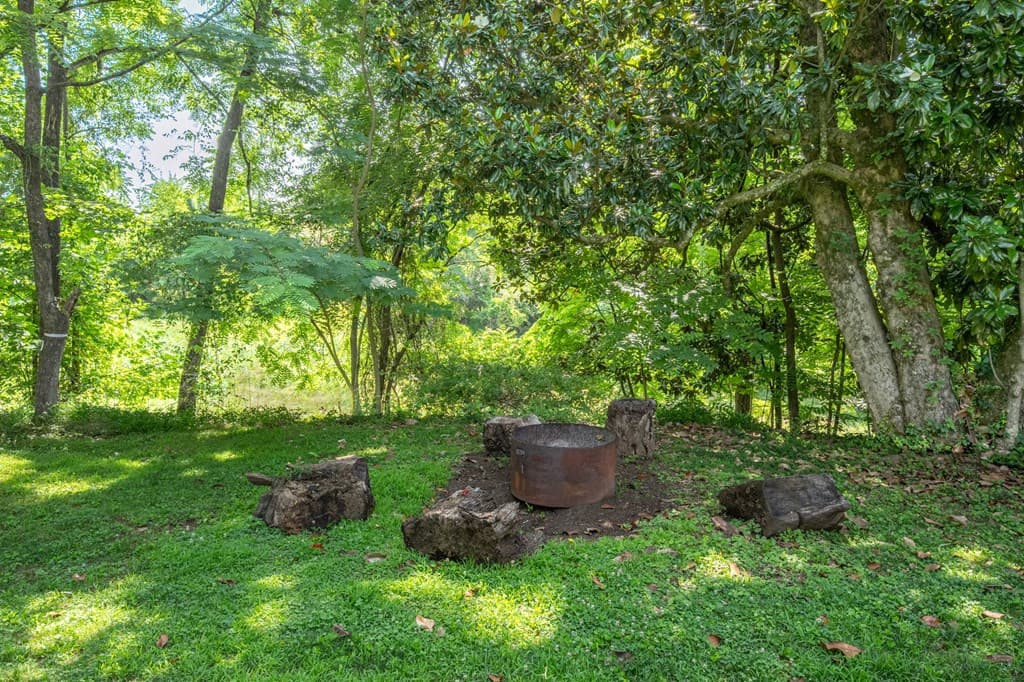 1737 Blue Ridge Drive, Blue Ridge GA 30513 - Photo
