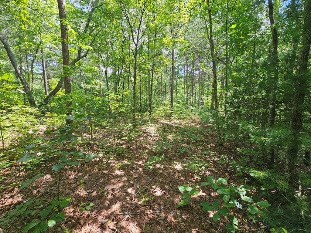 0 Harris Ridge Drive, Ellijay GA 30540 - Photo