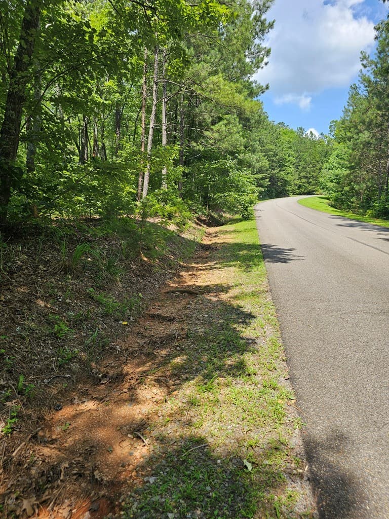 0 Harris Ridge Drive, Ellijay GA 30540 - Photo