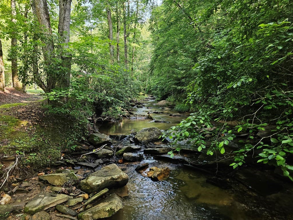 0 Harris Ridge Drive, Ellijay GA 30540 - Photo