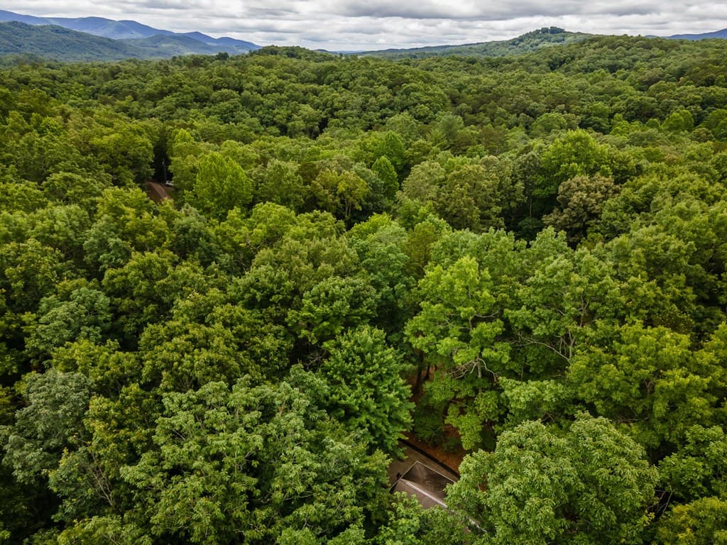 398 Mountain Tops Circle, Blue Ridge GA 30513 - Photo