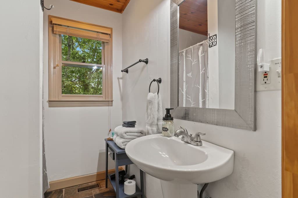398 Mountain Tops Circle, Blue Ridge GA 30513 - Photo