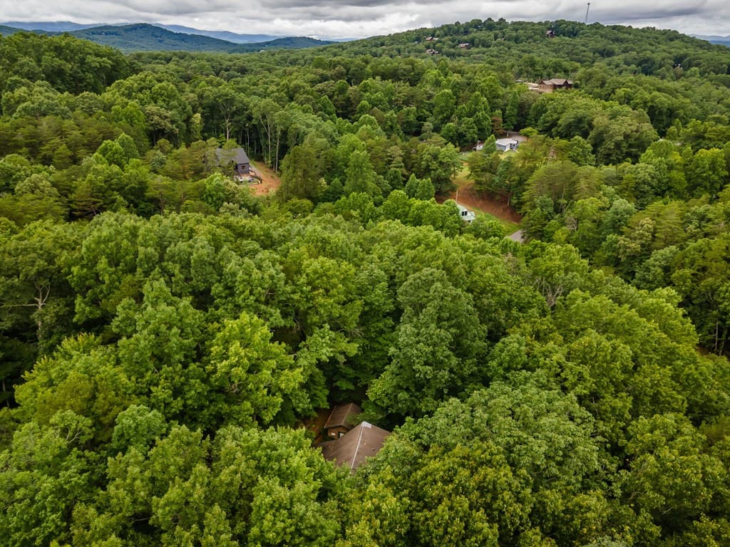 398 Mountain Tops Circle, Blue Ridge GA 30513 - Photo