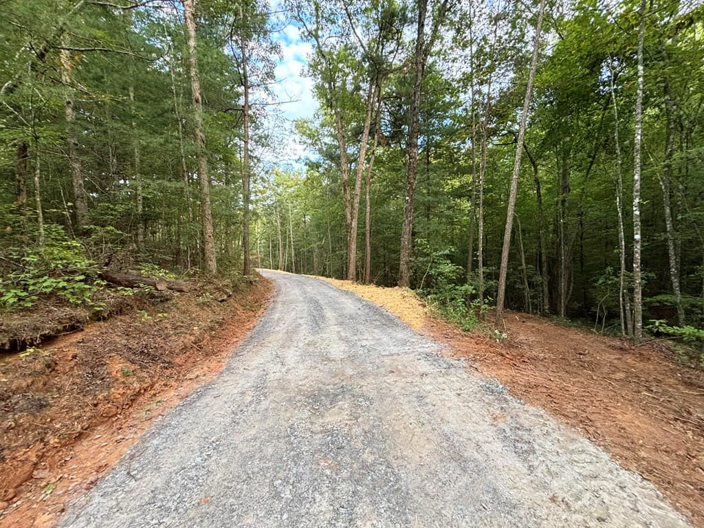 396 Mt. Springer Road, Ellijay GA 30540 - Photo
