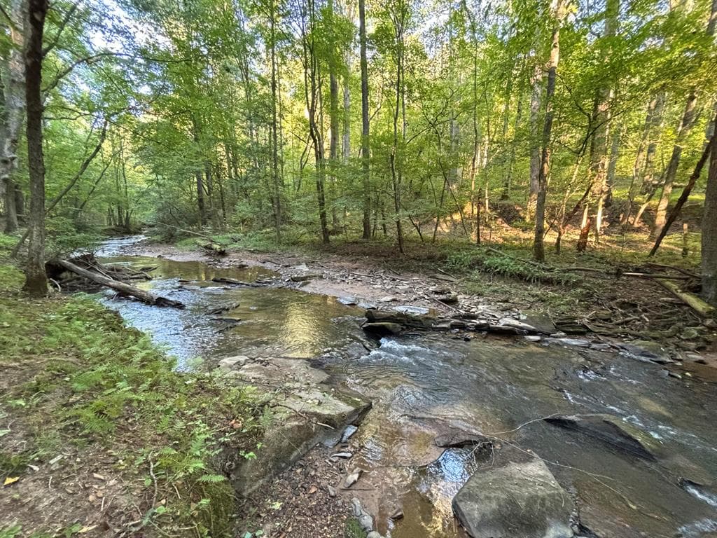 396 Mt. Springer Road, Ellijay GA 30540 - Photo