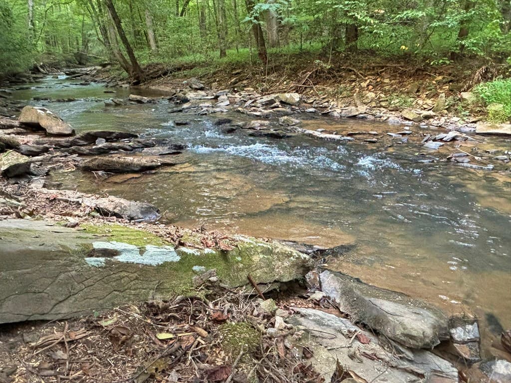 396 Mt. Springer Road, Ellijay GA 30540 - Photo