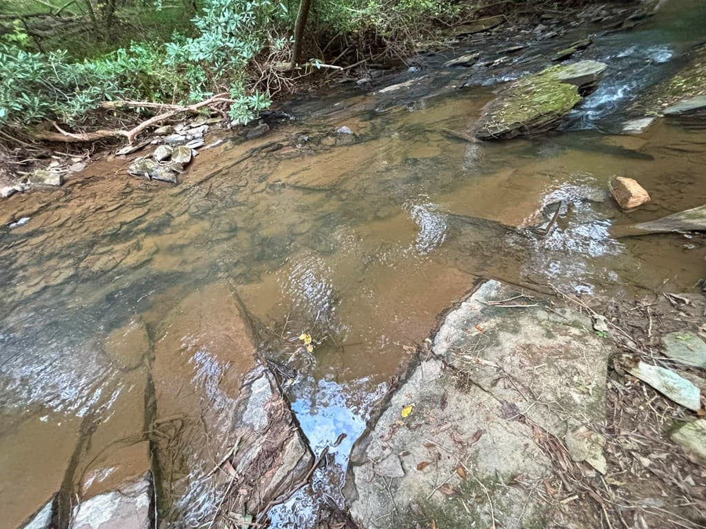 396 Mt. Springer Road, Ellijay GA 30540 - Photo