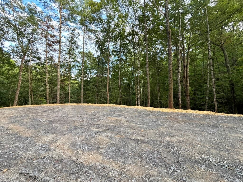 396 Mt. Springer Road, Ellijay GA 30540 - Photo