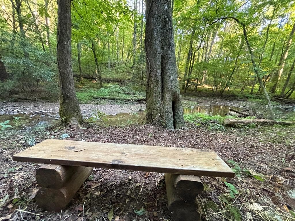 396 Mt. Springer Road, Ellijay GA 30540 - Photo