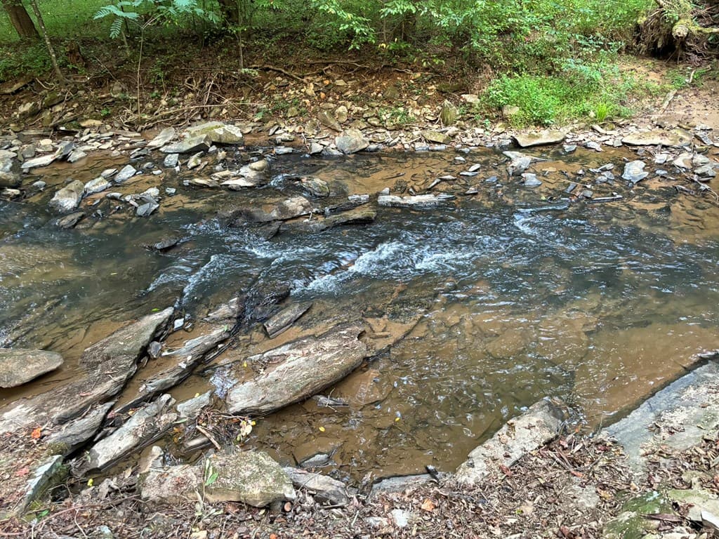 396 Mt. Springer Road, Ellijay GA 30540 - Photo