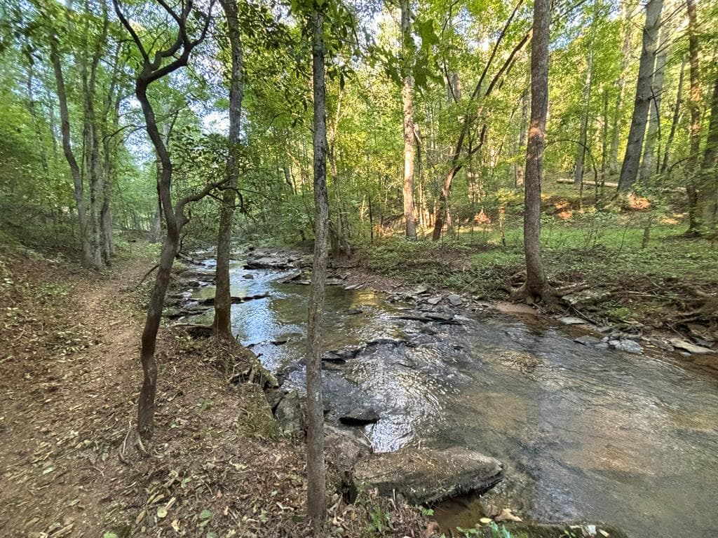 396 Mt. Springer Road, Ellijay GA 30540 - Photo