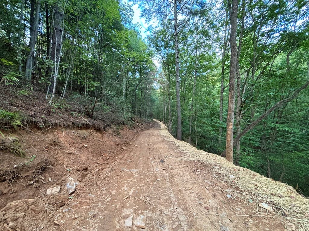 396 Mt. Springer Road, Ellijay GA 30540 - Photo
