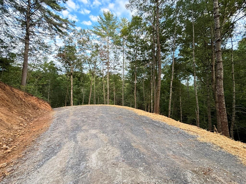 396 Mt. Springer Road, Ellijay GA 30540 - Photo