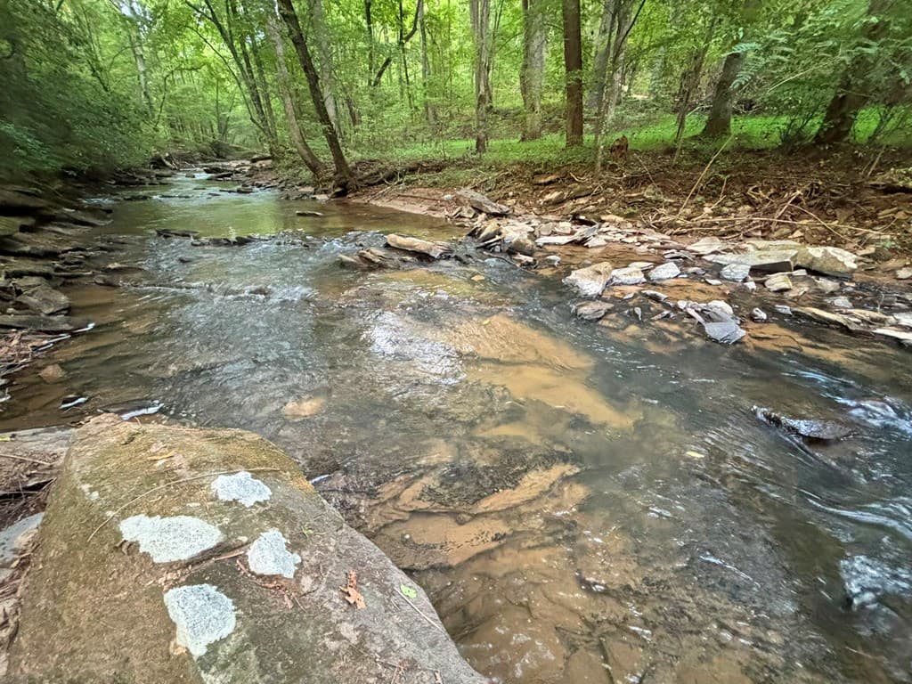 396 Mt. Springer Road, Ellijay GA 30540 - Photo