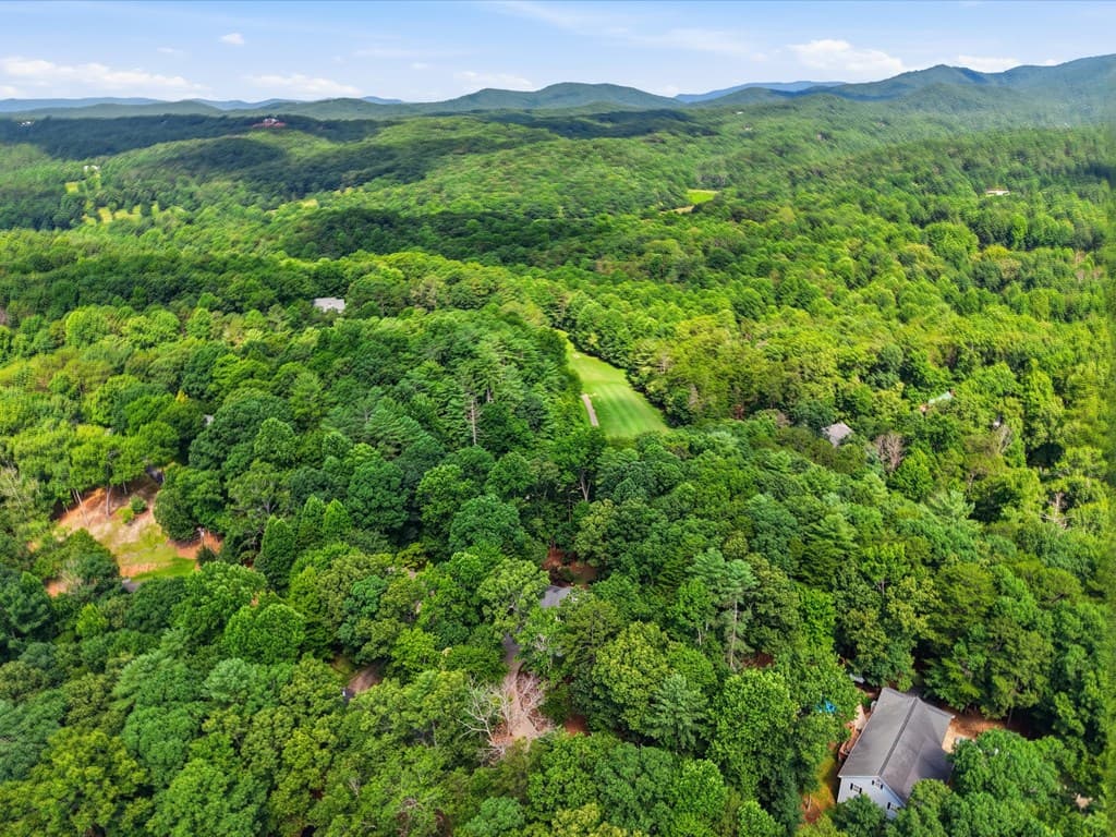 54 Choctaw Drive, Ellijay GA 30540 - Photo
