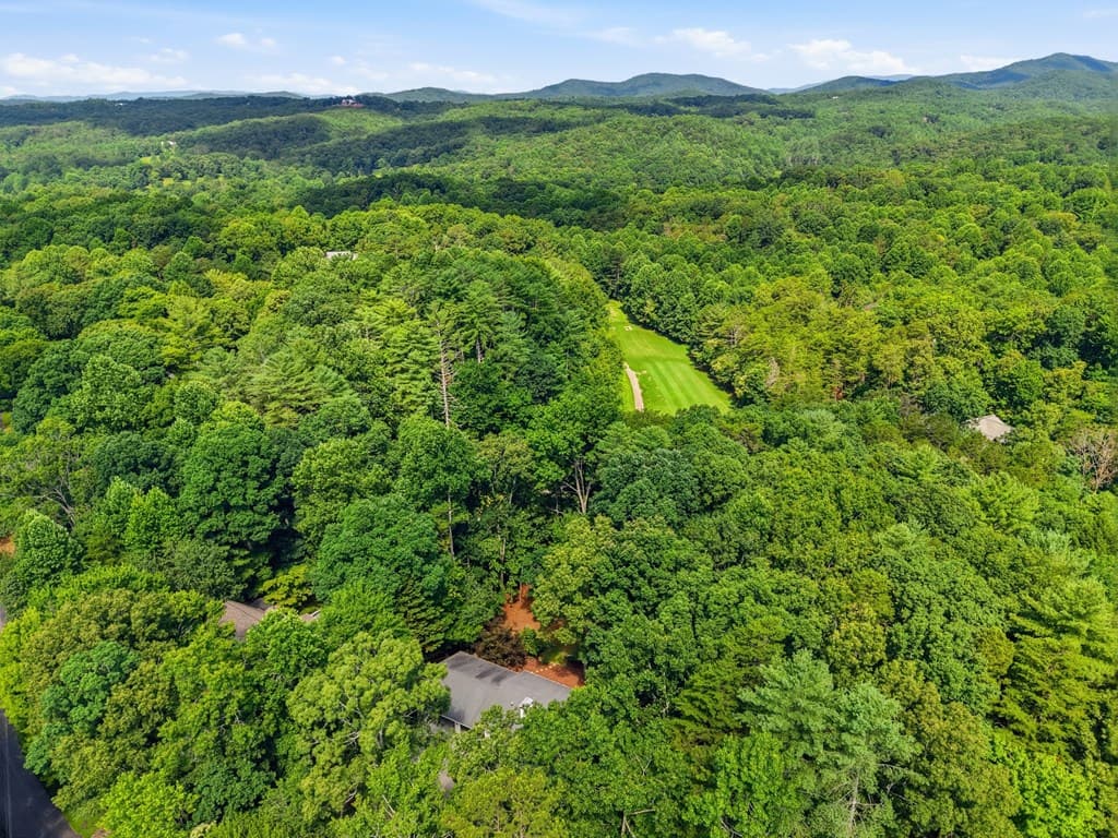 54 Choctaw Drive, Ellijay GA 30540 - Photo