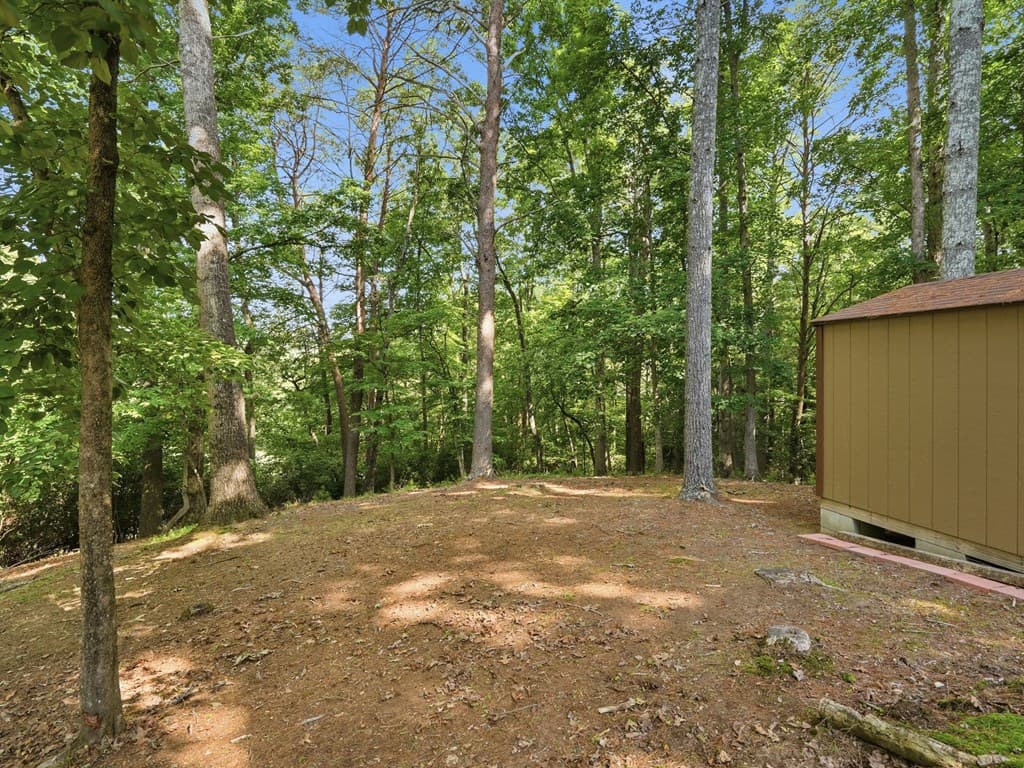 54 Choctaw Drive, Ellijay GA 30540 - Photo